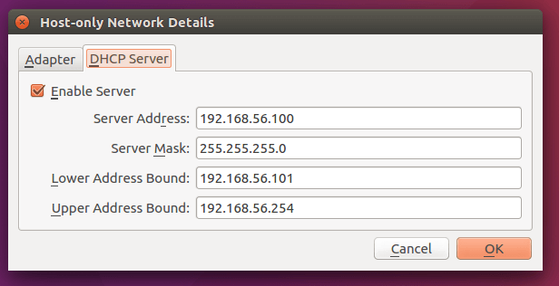 Host-only Network Details