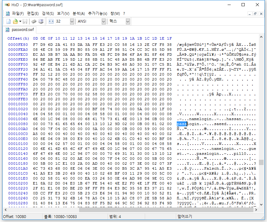 pass in password.swf